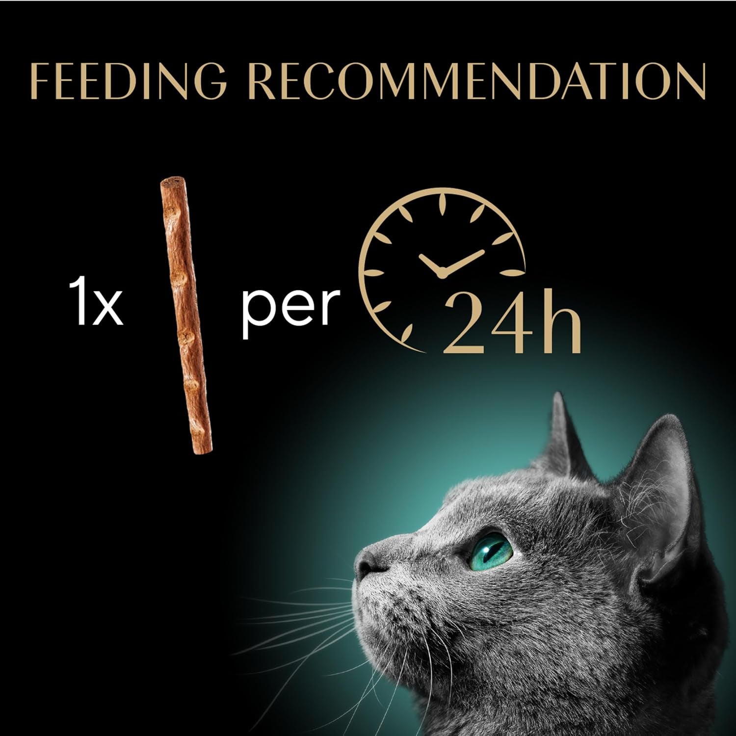 Meaty Tender Sticks Soft Cat Treats Salmon Flavor, 0.14 Oz Sticks (Pack of 10) (50 Sticks Total)