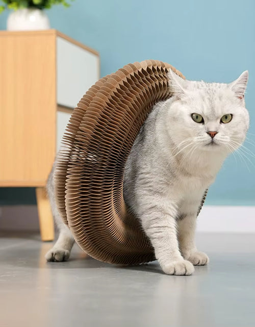 Bild in Gallery-Viewer laden, Purrfectscratch Magic Organ Cat Scratching Board – Interactive Claw Grinder &amp; Fun Toy for Cats
