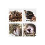 PetPrecision Pro™ – Professioneller Tierhaarschneider für sanfte Fellpflege - 40% RABATT