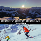 ShieldPro Elite™ – Honeycomb-Schutz für jede Sportart – 1 + 1 GRATIS!