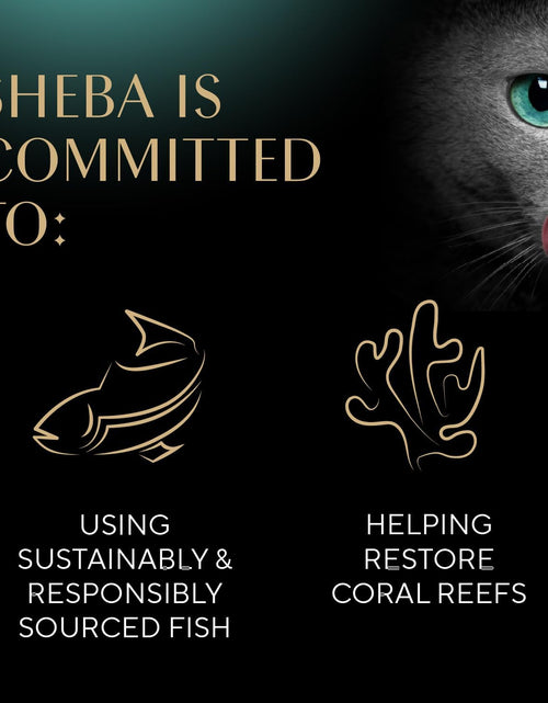 Bild in Gallery-Viewer laden, Meaty Tender Sticks Soft Cat Treats Salmon Flavor, 0.14 Oz Sticks (Pack of 10) (50 Sticks Total)
