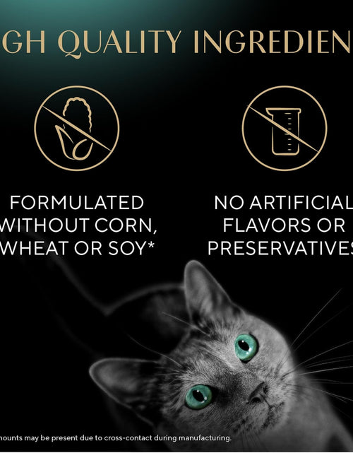 Bild in Gallery-Viewer laden, Meaty Tender Sticks Soft Cat Treats Salmon Flavor, 0.14 Oz Sticks (Pack of 10) (50 Sticks Total)
