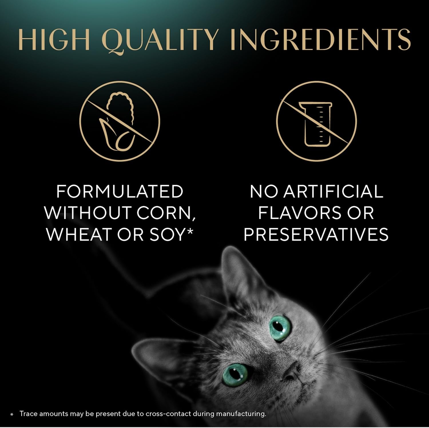 Meaty Tender Sticks Soft Cat Treats Salmon Flavor, 0.14 Oz Sticks (Pack of 10) (50 Sticks Total)