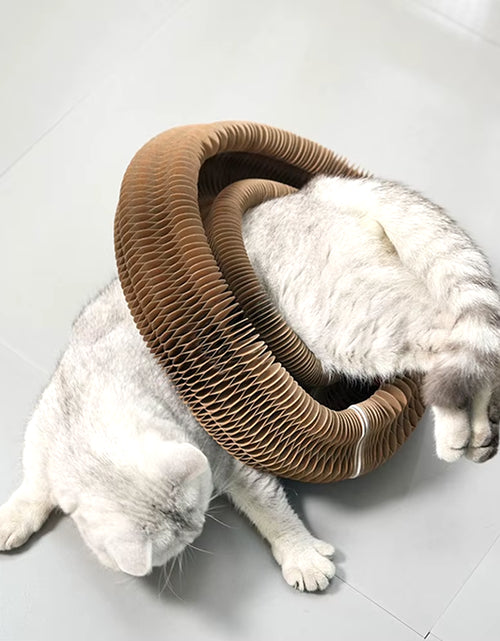 Bild in Gallery-Viewer laden, Purrfectscratch Magic Organ Cat Scratching Board – Interactive Claw Grinder &amp; Fun Toy for Cats
