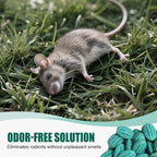 Leistungsstarker Nagetierköder – Schnell, Sauber & Umweltfreundlich gegen Mäuse und Ratten
