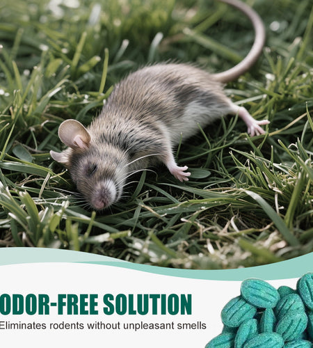 Leistungsstarker Nagetierköder – Schnell, Sauber & Umweltfreundlich gegen Mäuse und Ratten