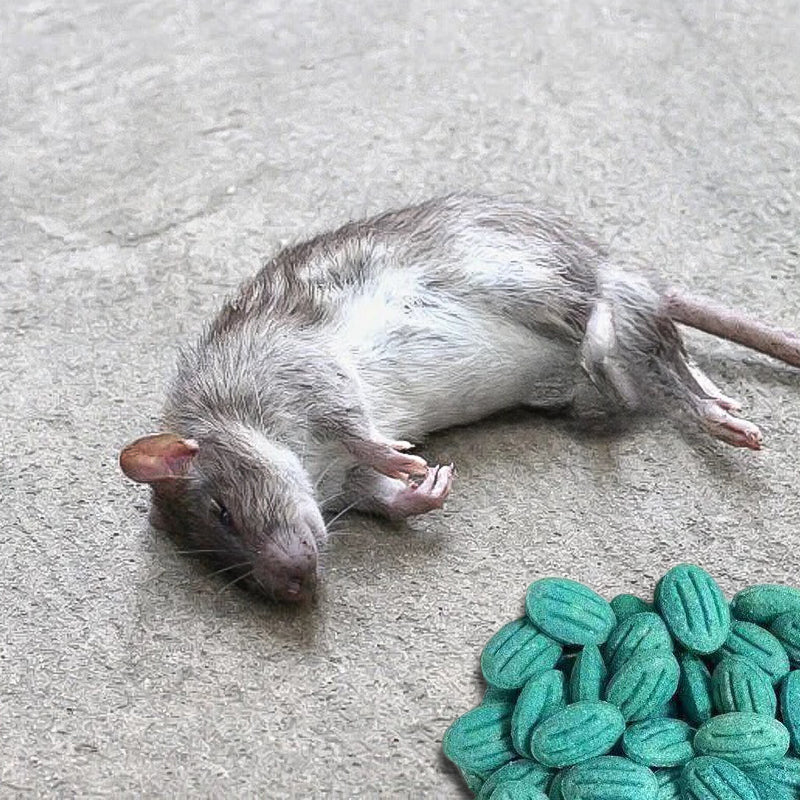 Leistungsstarker Nagetierköder – Schnell, Sauber & Umweltfreundlich gegen Mäuse und Ratten