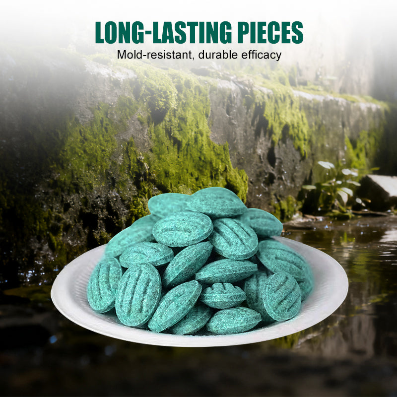 Leistungsstarker Nagetierköder – Schnell, Sauber & Umweltfreundlich gegen Mäuse und Ratten