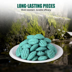 Leistungsstarker Nagetierköder – Schnell, Sauber & Umweltfreundlich gegen Mäuse und Ratten